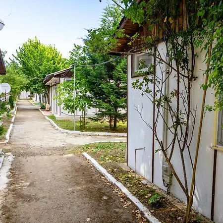 Silitur Ahtopol